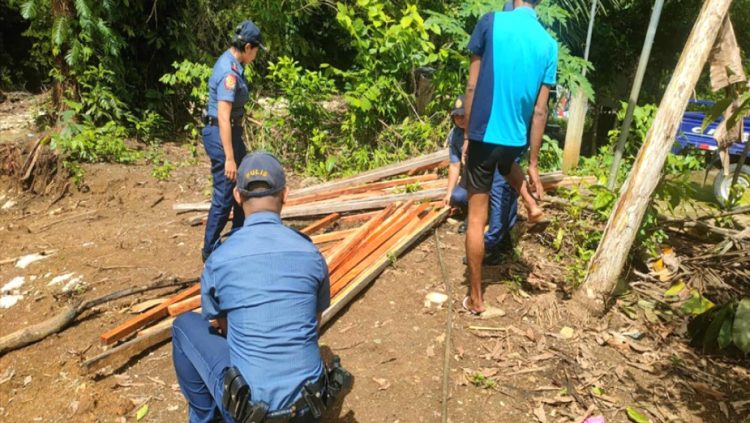 22 Piraso ng pinutol na mahogany, nasabat sa San Andres, Romblon