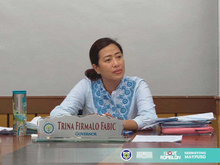 Mukha ng mga politiko sa mga tarp ng proyekto ng Romblon gov’t, pinagbabawal na