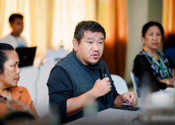 Dagdag-bawas sa pambansang budget, binatikos ng dating miyembro ng RDC-MIMAROPA