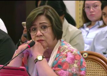 De Lima, isinusulong batas laban sa extrajudicial killings