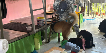 BJMP-Romblon nagsagawa ng Greyhound Operation, walang nakuhang kontrabando