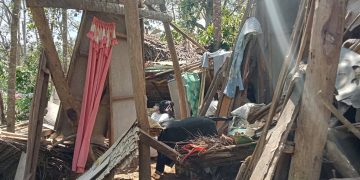 Higit 400 Romblomanong nasalanta ni ‘Opong’, makikinabang sa TUPAD program