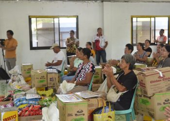 DTI naghatid ng P345K na tulong sa mga negosyante sa Sibale Island