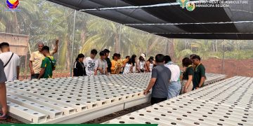 DA nagkaloob ng P1.3-M greenhouse na may hydroponic system sa RSU Agpudlos