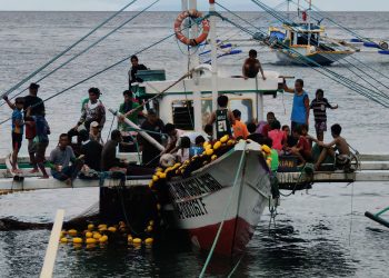 Ekonomiya ng Romblon, lumago ng 6.3% noong 2024 — PSA