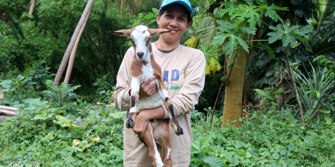 Samahan ng mga magsasaka sa Concepcion, Romblon, unti-unting umaani ng tagumpay sa kabila ng mga hamon
