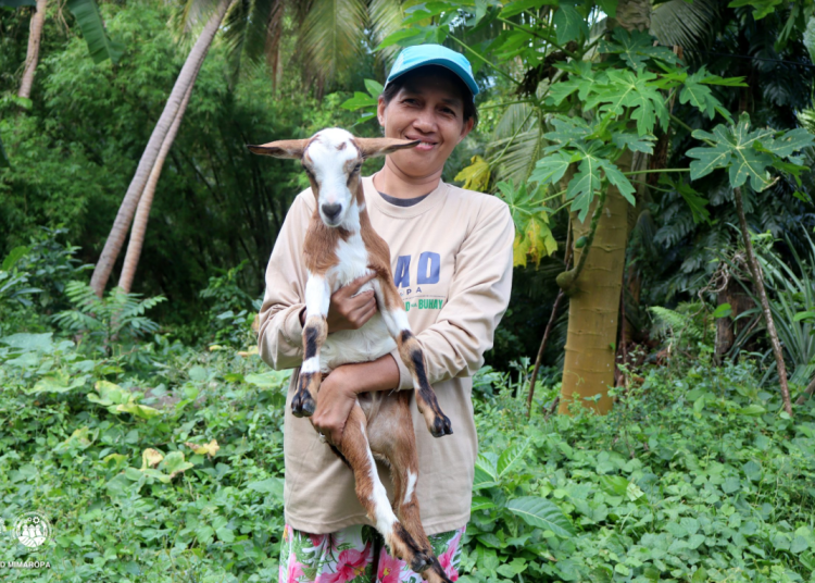 Samahan ng mga magsasaka sa Concepcion, Romblon, unti-unting umaani ng tagumpay sa kabila ng mga hamon