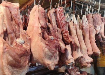 Supply ng baboy sa Romblon nananatiling stable sa kabila ng ASF