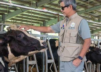 DA-National Dairy Authority, nais palakasin ang lokal na paggagatas sa Romblon