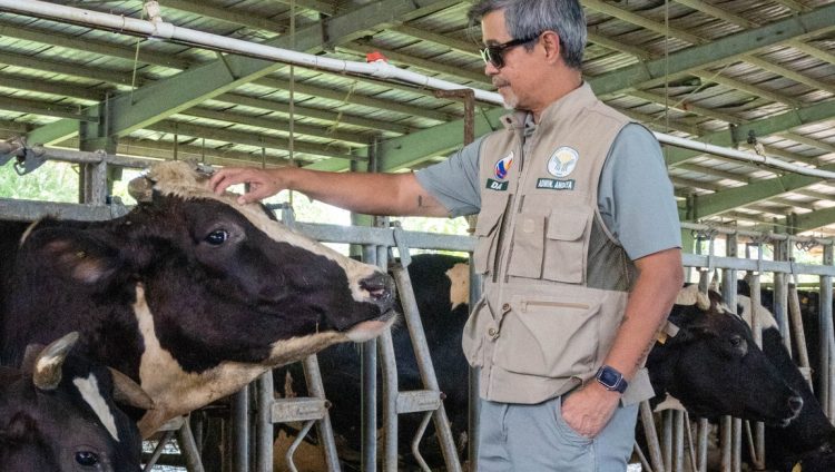 DA-National Dairy Authority, nais palakasin ang lokal na paggagatas sa Romblon