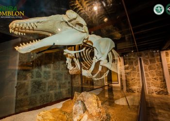 Museo de Romblon, binuksan sa publiko