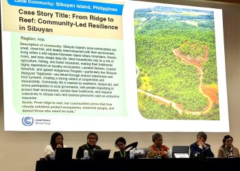 Galicha dinala ang boses ng Sibuyan sa UN climate meeting