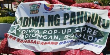 23 metriko toneladang sibuyas mula Mindoro, dinala sa Odiongan sa ilalim ng KADIWA Program