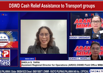 DSWD, maglulunsad ng cash relief assistance para sa TODA drivers sa MIMAROPA