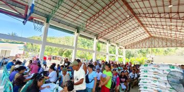 Mahigit 1,000 sako ng certified rice seeds ipinamahagi sa mga magsasaka sa Cajidiocan