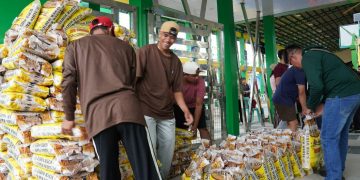 Mahigit 2,200 kabahayan sa Calatrava, tumanggap ng rice subsidy; bahagi ng direktiba ni Marcos sa LGSF