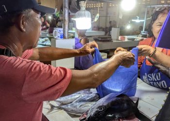 Public markets sa San Agustin, Looc at Odiongan kabilang sa DTI Best Public Market assessment