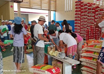 Mahigit 4,600 Bantoanon nakatanggap ng libreng bigas sa ilalim ng LGSF program