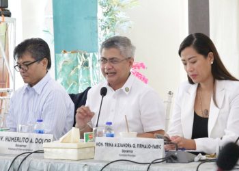 RDC MIMAROPA tinatalakay ang pagsasaayos ng listahan ng mga benepisyaryo ng ayuda