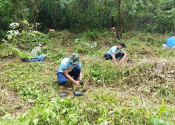 Mga LGU sa Romblon nagsagawa ng tree planting, mangrove planting para sa Philippine Arbor Day