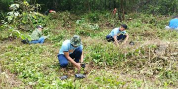 Mga LGU sa Romblon nagsagawa ng tree planting, mangrove planting para sa Philippine Arbor Day