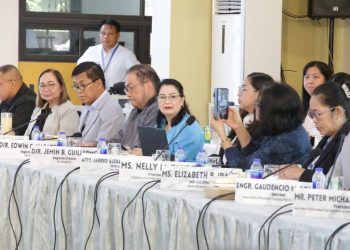 RDC MIMAROPA tinatalakay ang pagsasaayos ng listahan ng mga benepisyaryo ng ayuda