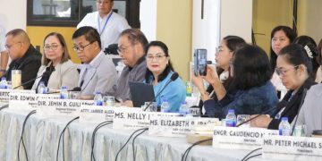 RDC MIMAROPA tinatalakay ang pagsasaayos ng listahan ng mga benepisyaryo ng ayuda