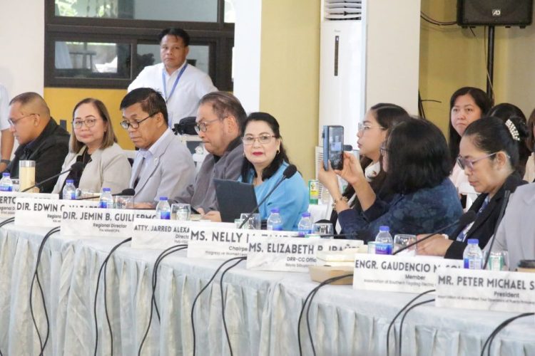 RDC MIMAROPA tinatalakay ang pagsasaayos ng listahan ng mga benepisyaryo ng ayuda