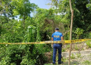 Suspek na nanaksak ng kanyang ama, patay matapos manlaban sa rumespondeng pulis sa San Jose