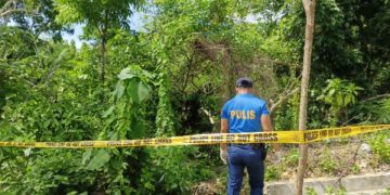Suspek na nanaksak ng kanyang ama, patay matapos manlaban sa rumespondeng pulis sa San Jose