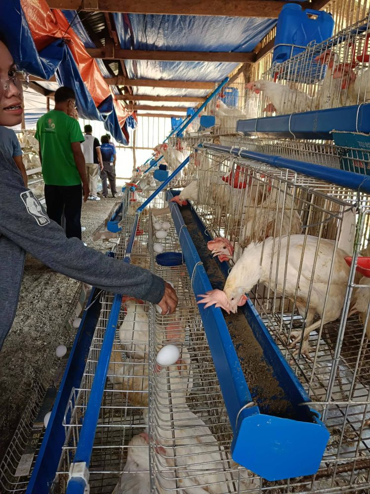 DA-SAAD nagkaloob ng ₱725-K agricultural assistance sa samahan ng mga magsasaka sa Alcantara