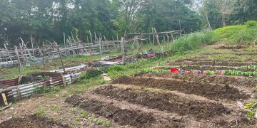 Libertad NHS pinalalakas ang school garden para suportahan ang feeding program