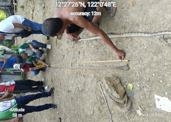 Unang naitalang King Cobra sa Tablas Island, kinumpirma; publiko pinaiiwas sa mapanganib na ahas