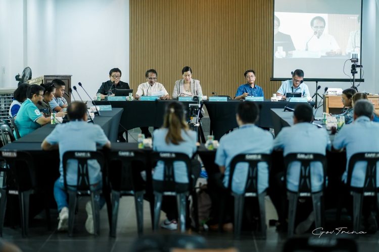 TIELCO, ROMELCO tumanggap ng NEA loans para sa power projects at operasyon