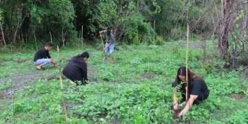 DENR pinalalakas ang pakikipagtulungan sa iba’t ibang sektor para sa pangangalaga ng kalikasan sa MIMAROPA