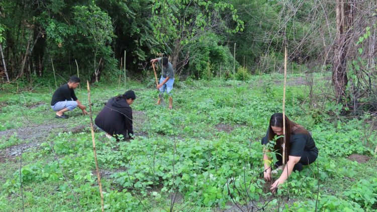 DENR pinalalakas ang pakikipagtulungan sa iba’t ibang sektor para sa pangangalaga ng kalikasan sa MIMAROPA