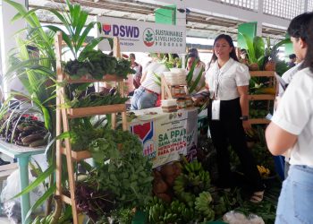 Mahigit 35% ng mga kabahayan sa MIMAROPA nakaranas ng food insecurity noong 2025