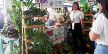 Mahigit 35% ng mga kabahayan sa MIMAROPA nakaranas ng food insecurity noong 2025
