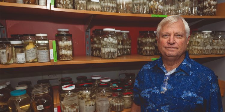 American marine scientist na tumulong magpatanyag sa marine biodiversity ng Pilipinas, pinatay sa Negros Oriental