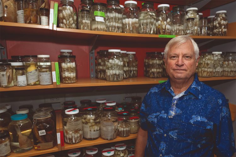 American marine scientist na tumulong magpatanyag sa marine biodiversity ng Pilipinas, pinatay sa Negros Oriental