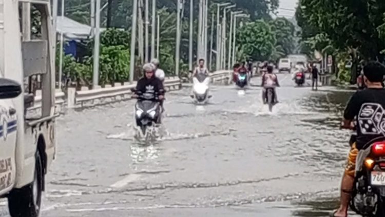 DOH inatasang paigtingin ang dengue, leptospirosis response sa gitna ng masamang panahon