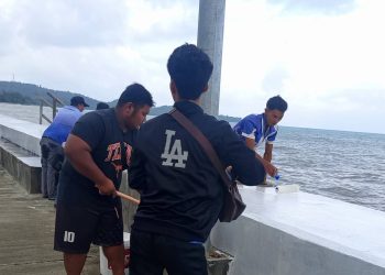 Mga barangay officials sa Odiongan, sabay-sabay nagpintura ng seawall