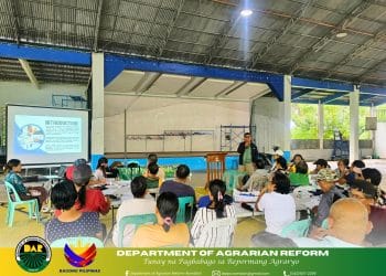 120 magsasaka sa Romblon, sumailalim sa capacity-building trainings