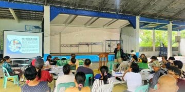 120 magsasaka sa Romblon, sumailalim sa capacity-building trainings