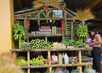 Iba’t ibang produktong agrikultural, tampok sa Kalipayan AgriTrade Fair sa San Agustin