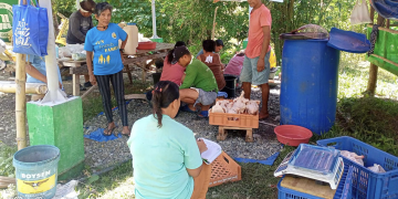 Samahan ng mga magsasaka at mangingisda sa Sta. Maria kumita ng mahigit ₱249K sa broiler project