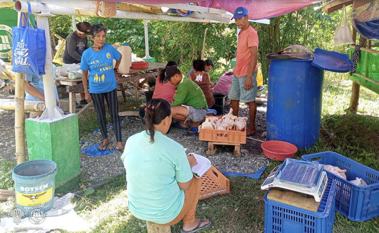 Samahan ng mga magsasaka at mangingisda sa Sta. Maria kumita ng mahigit ₱249K sa broiler project