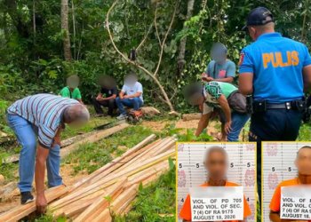 ₱3.7K halaga ng ilegal na pinutol na kahoy, nasabat; 2 arestado sa Odiongan