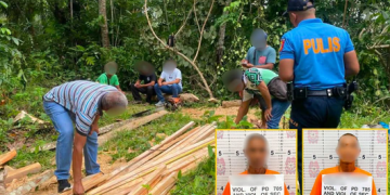 ₱3.7K halaga ng ilegal na pinutol na kahoy, nasabat; 2 arestado sa Odiongan