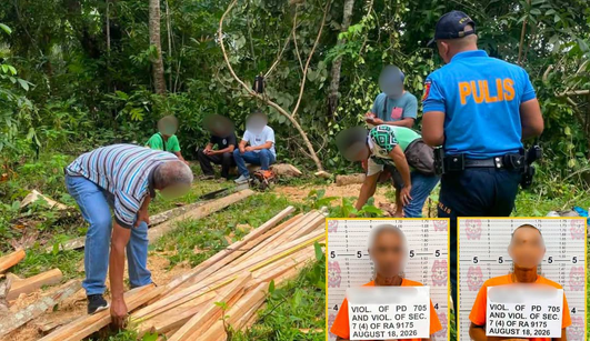 ₱3.7K halaga ng ilegal na pinutol na kahoy, nasabat; 2 arestado sa Odiongan